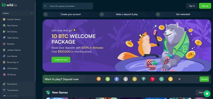 Presentación de Wild.io Crypto Casino características, juegos y seguridad