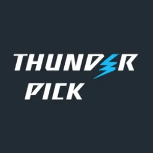 Kritik von Thunderpick